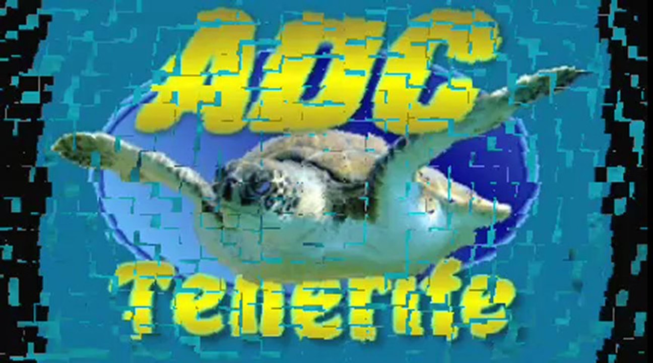 Angel Shark Tenerife