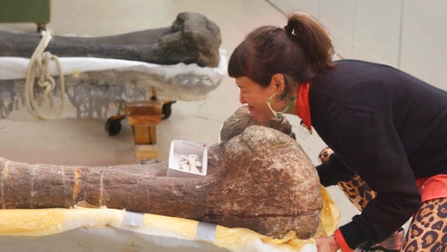 How soft tissue fossils helped prove dinosaurs were warm-blooded