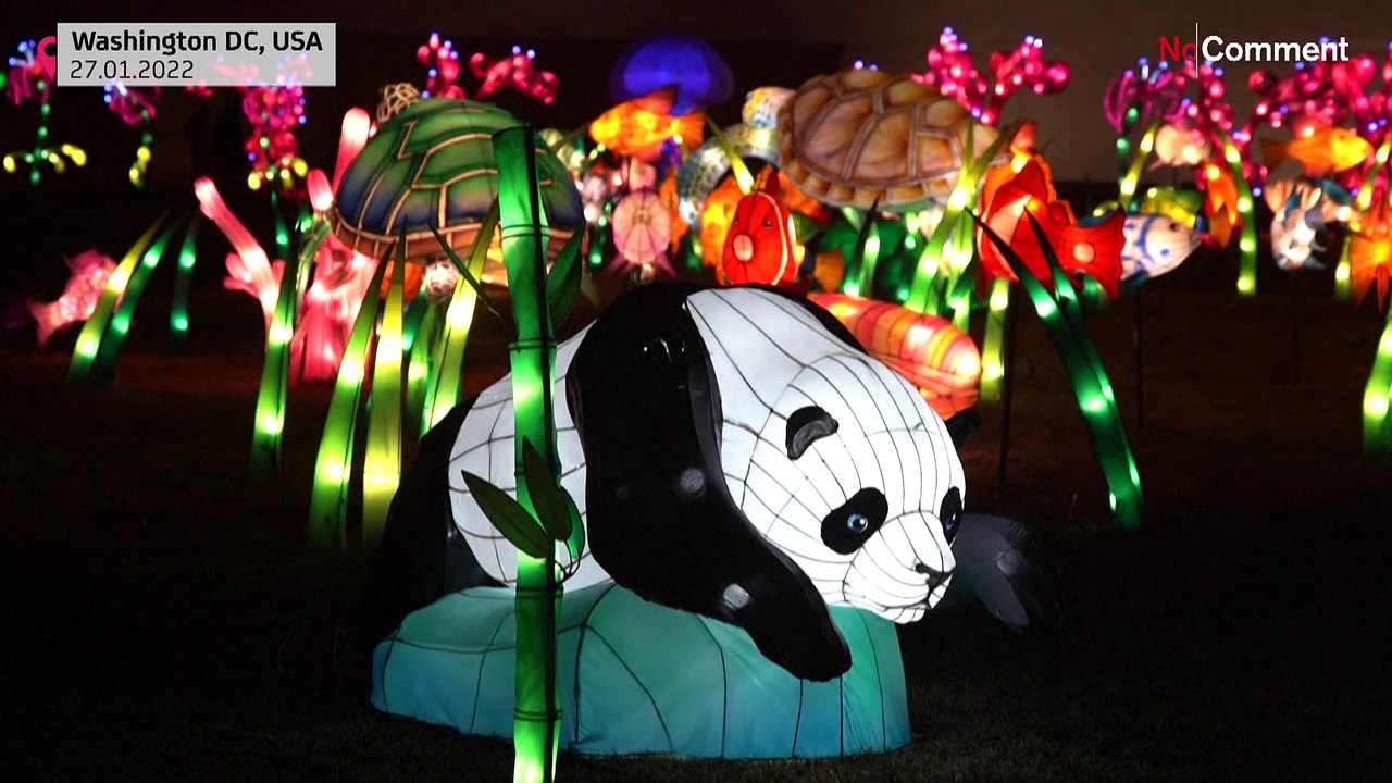 Laternen begrüßen das Jahr des Tigers - kann er das Virus vertreiben?