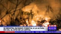 Incendio forestal de grandes proporciones consume bosque en salida a Valle de Ángeles