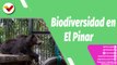 Buena Vibra Plus | Parque Zoológico El Pinar, espacio para el entretenimiento familiar