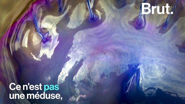 3 formes de vie étranges