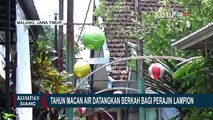 Setelah Vakum 2 Kali Perayaan Imlek, Perajin Lampion di Malang Kini Dibanjiri Pesanan