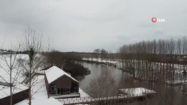 Beyaza bürünen saklı cennet Acarlar Longozu güzelliğiyle kendine hayran bırakıyor