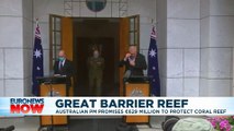Australian government pumps cash into Great Barrier Reef protection
