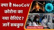 NeoCov Coronavirus: चमगादड़ में मिला कोरोना का नया वैरिएंट? | China | South African | वनइंडिया हिंदी