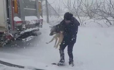 GAZİANTEP'TE DONMAK ÜZERE OLAN 75 HAYVAN KURTARILDI