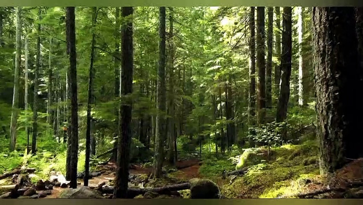 Honour of the status of Khatm-e-Nabuwat