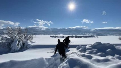 Yaban hayvanları için doğaya 4 ton yem bırakıldı