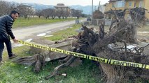 Bursa'da tarihi Lahit parçalanmış halde yol kenarında bulundu