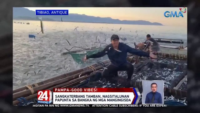 Sangkaterbang tamban, nagsitalunan papunta sa bangka ng mga mangingisda | 24 Oras Weekend