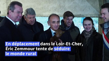 Eric Zemmour propose 10.000 euros par naissance dans les zones rurales