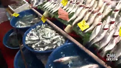 Balık tezgahlarında fiyatlar nasıl?