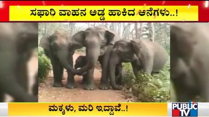 ಬಿಳಿಗಿರಿರಂಗನಬೆಟ್ಟದ ಕೆ.ಗುಡಿಯಲ್ಲಿ ಸಫಾರಿ ವಾಹನ ಅಡ್ಡ ಹಾಕಿದ ಗಜಪಡೆ | Chamarajanagar