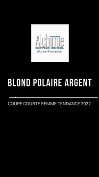 blond polaire argent silver avec coupe tendance 2022