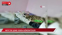 KKTC’deki bakımevi görüntüleri tepki çekti