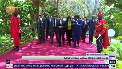 TeN | نشرة أخبار الخامسة مساءًا - السبت 29 يناير 2022