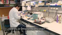 Confirmado el primer caso de la variante ómicron silenciosa en España