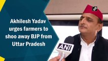 Akhilesh Yadav urges farmers to shoo away BJP from Uttar Pradesh