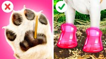 AWESOME HACKS FOR PET OWNERS Fun DIY Toys and Useful Gadgets! Cute Tips By 123 GO! TRENDS