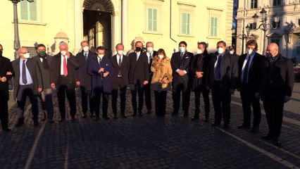 Presidenti delle Regioni da Mattarella: "Chiediamo stabilità per l'emergenza pandemica ed economica"