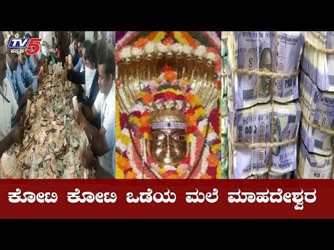 ಮತ್ತೆ ಕೋಟಿ-ಕೋಟಿ ಒಡೆಯನಾದ ಮಲೈ ಮಾದಪ್ಪ | Male Mahadeshwara |Chamarajanagara | TV5 Kannada