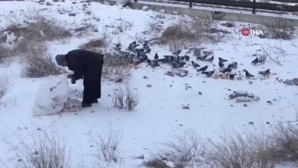 Çöpten topladığı ekmeklerle sokak hayvanlarını besliyor