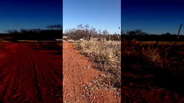 Man Stops to Help Deer Caught in Fence