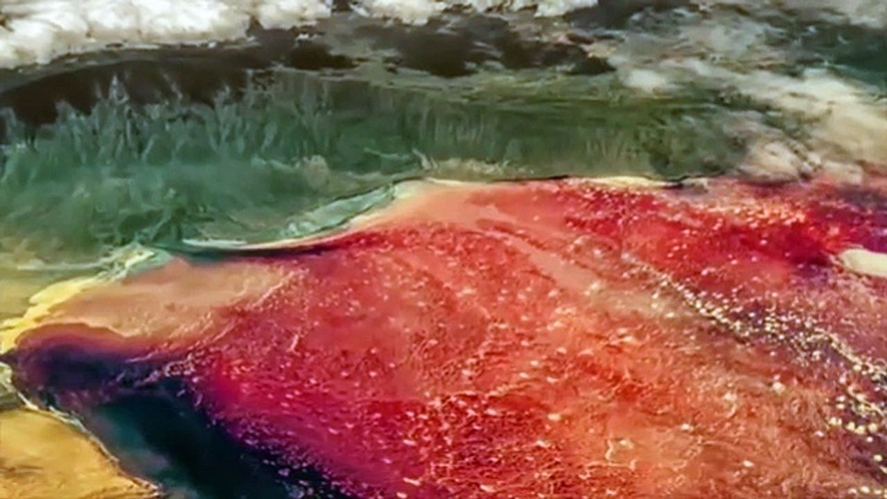 Top_10_Most_Dangerous_Natural_Phenomena_In_The_World_Par-1_|_FactEX