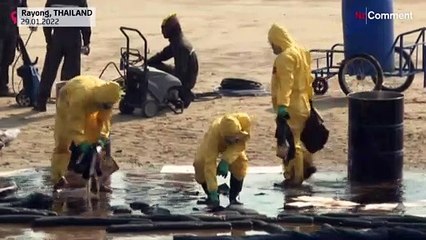 شاهد: عملية واسعة لتنظيف سواحل تايلاند بعد تسرب عشرات الأطنان من النفط