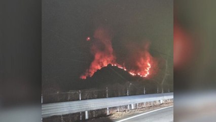 강원도 춘천에서 산불...1시간 반 만에 진화 / YTN