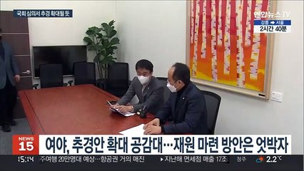 설 민심 겨냥한 여야…"추경 35조 이상으로"