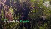 Meet the wildlife vet saving Uganda’s endangered gorillas