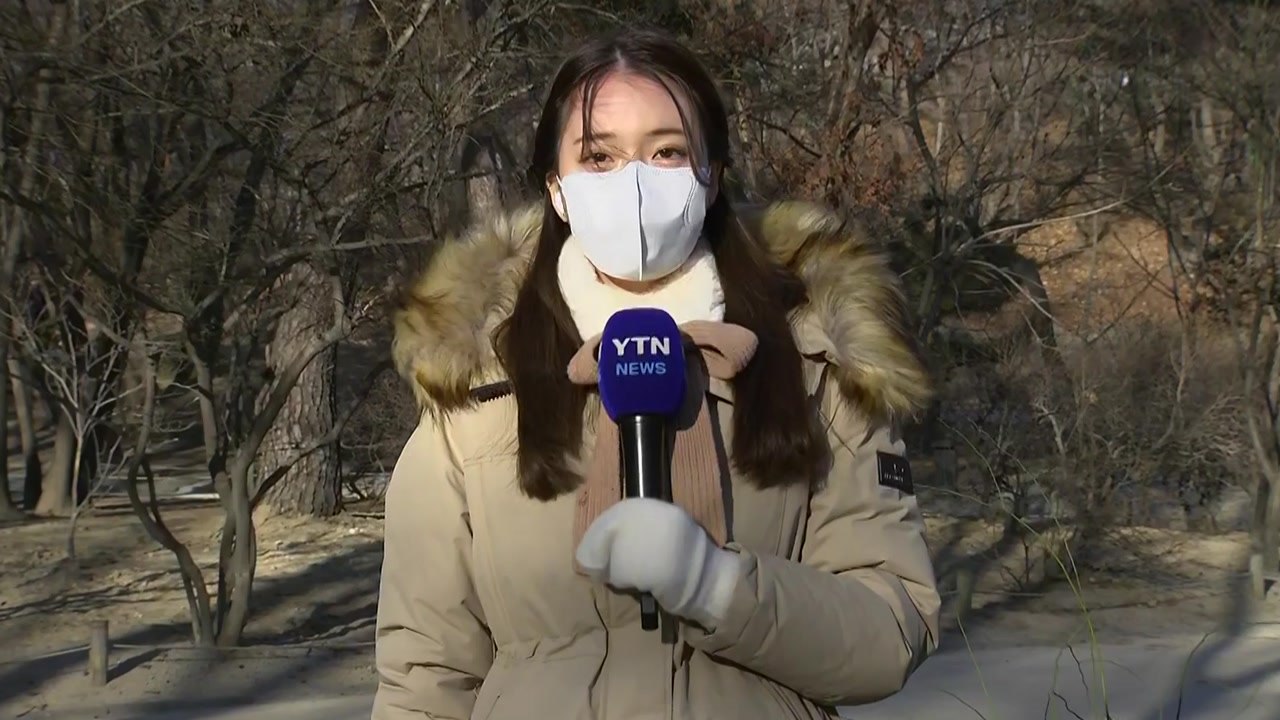 [날씨] 내일 밤∼설날 오전까지 눈...귀성·귀경길 교통안전 유의 / YTN