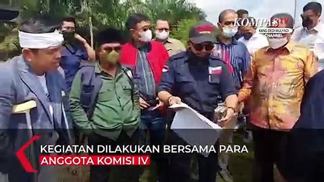 Momen Dedi Mulyadi Berjalan dengan Tongkat, Pimpin Penyegelan Lahan Sawit Ilegal di Riau