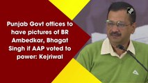 Punjab Govt offices to have pictures of BR Ambedkar, Bhagat Singh if AAP voted to power: Kejriwal