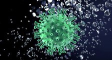 ‘Omicron, pandeminin sonunu getirecek’ demek için çok erken