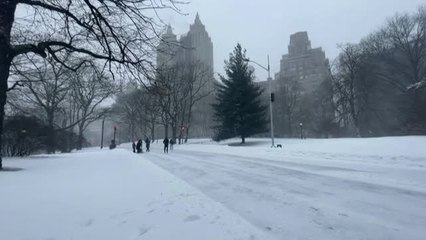 Video herunterladen: El noreste de EEUU sufre una de las peores tormentas de nieve en años