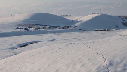 Besiciler kuzulama döneminin telaşını yaşıyor