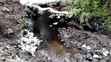 El vertido de crudo en la selva amazónica ecuatoriana ya contamina el río Piedra Fina