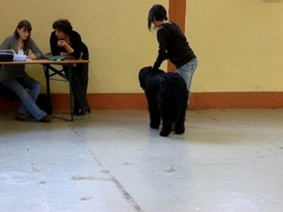 Expo valence 02-03-080066