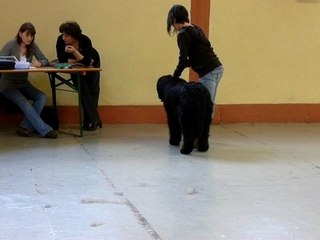 Expo valence 02-03-080066