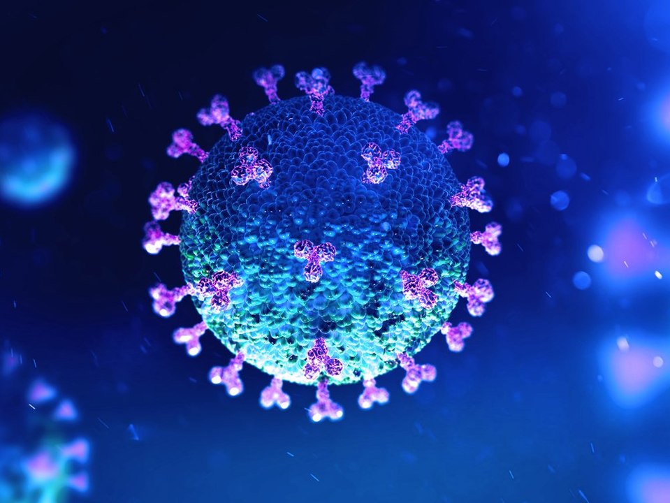 Studie: Corona-Impfung plus Infektion verleiht 'Superimmunität'