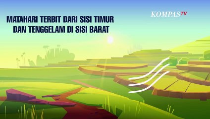 Wajib Tahu! Ini Dampak yang Terjadi Jika Matahari Tidak Terbit