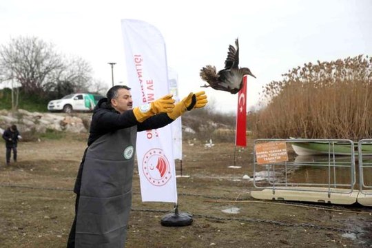 Bakan Pakdemirli göle ördek saldı