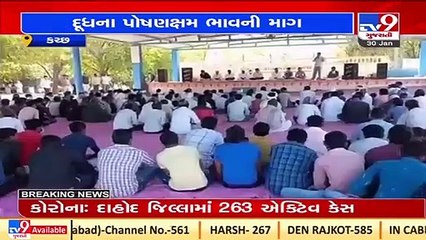 Kutch cattle breeders protest over demand to increase milk procurement price _Tv9GujaratiNews