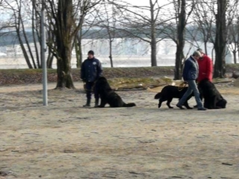 Entrainement 17-02-080053