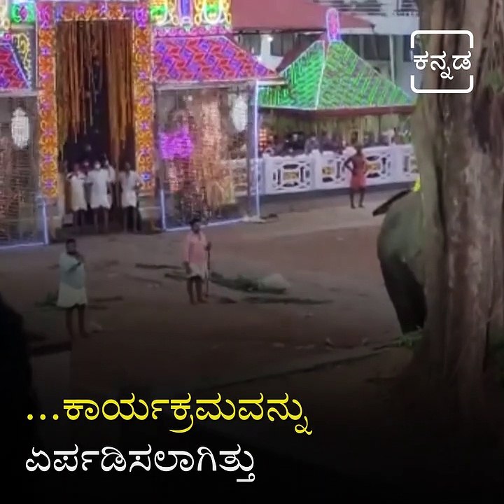 Elephant Turns Violent During Thaipooya Festival In Kerala.