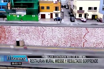 Vía Expresa: mural de Ricardo Wiesse luce moderno luego de trabajos de renovación