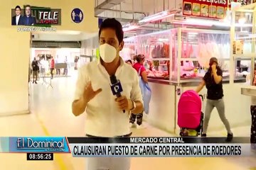 Mercado Central: comerciantes anuncian jornada de fumigación tras aparición de roedor